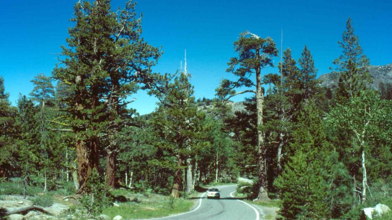 Ebbetts Pass Scenic Byway