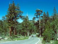 Ebbetts Pass Scenic Byway