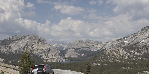 Tioga Road / Big Oak Flat Road