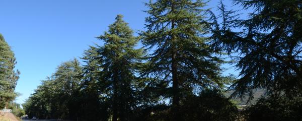 Route 152 - Pacheco Pass Road