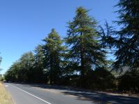 Route 152 - Pacheco Pass Road
